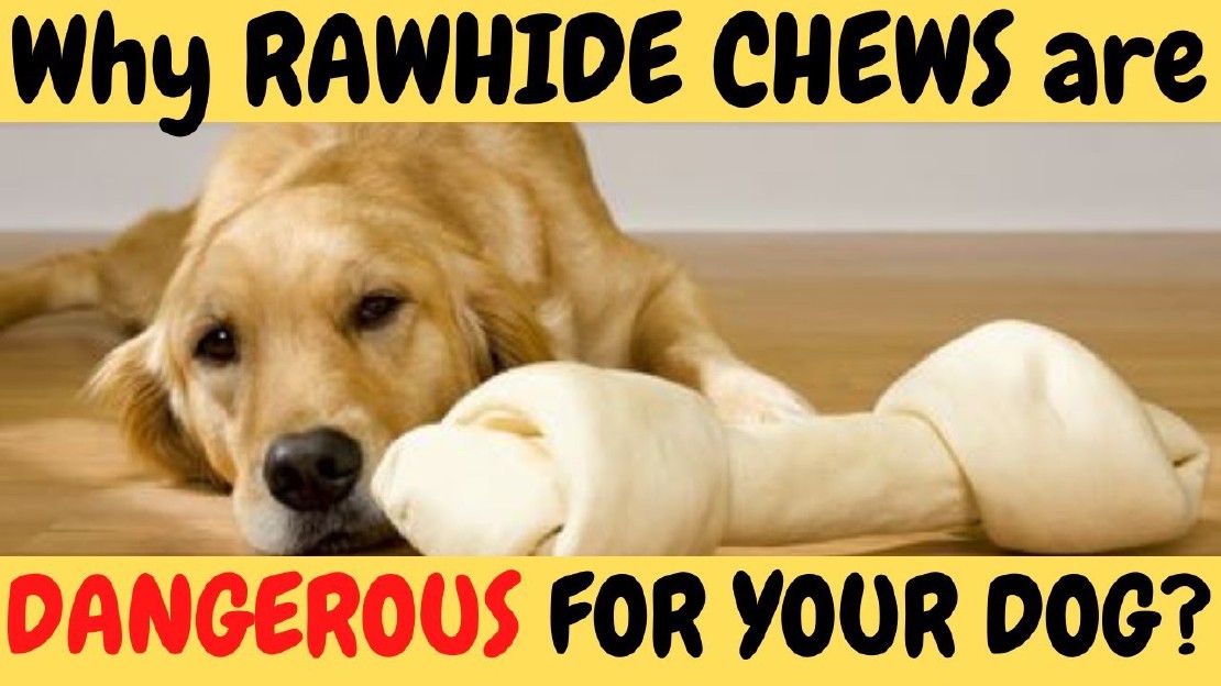 Revealing the Truth Are Rawhides Actually Harmful for Dogs?