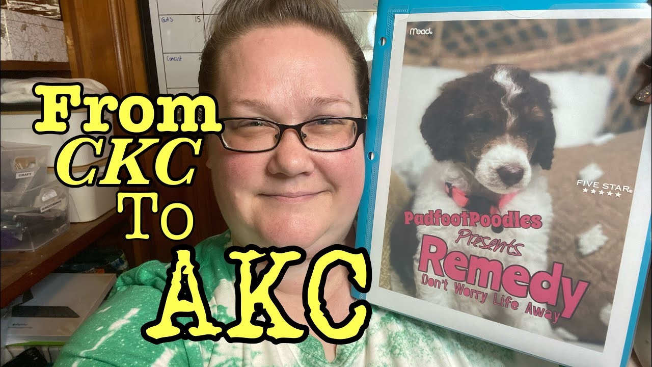 Registration of CKC Dogs in Canada Everything You Need to Know