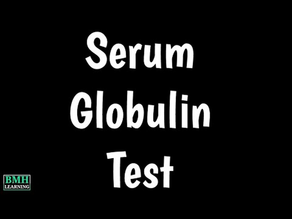 Understanding The Significance Of High Globulin Levels In Dogs