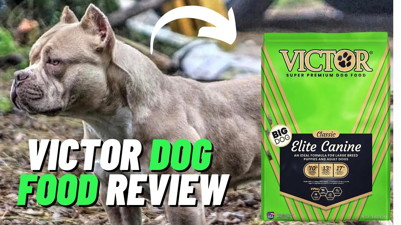 Is Victor Dog Food Suitable For Bulldogs Is Victor Dog Food Suitable For Bulldogs