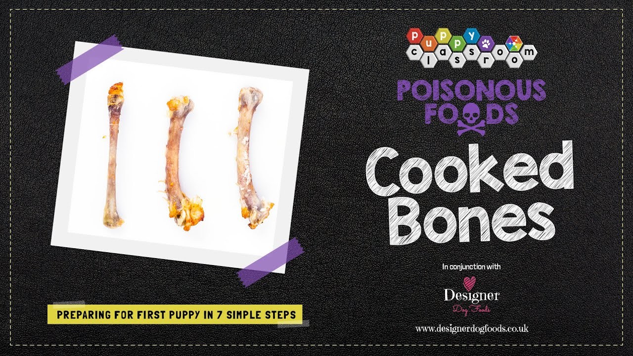 Should Dogs Eat Cooked Bones should-dogs-eat-cooked-bones