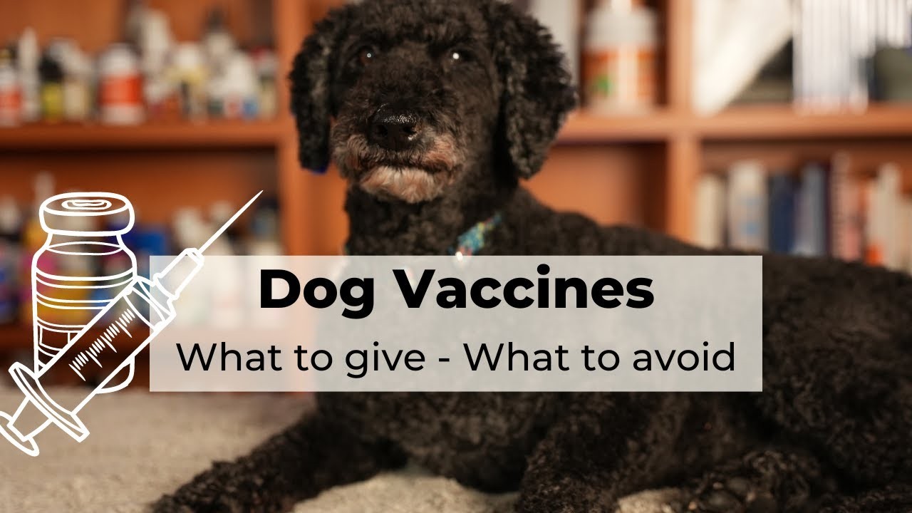 Are yearly vaccinations necessary for dogs?