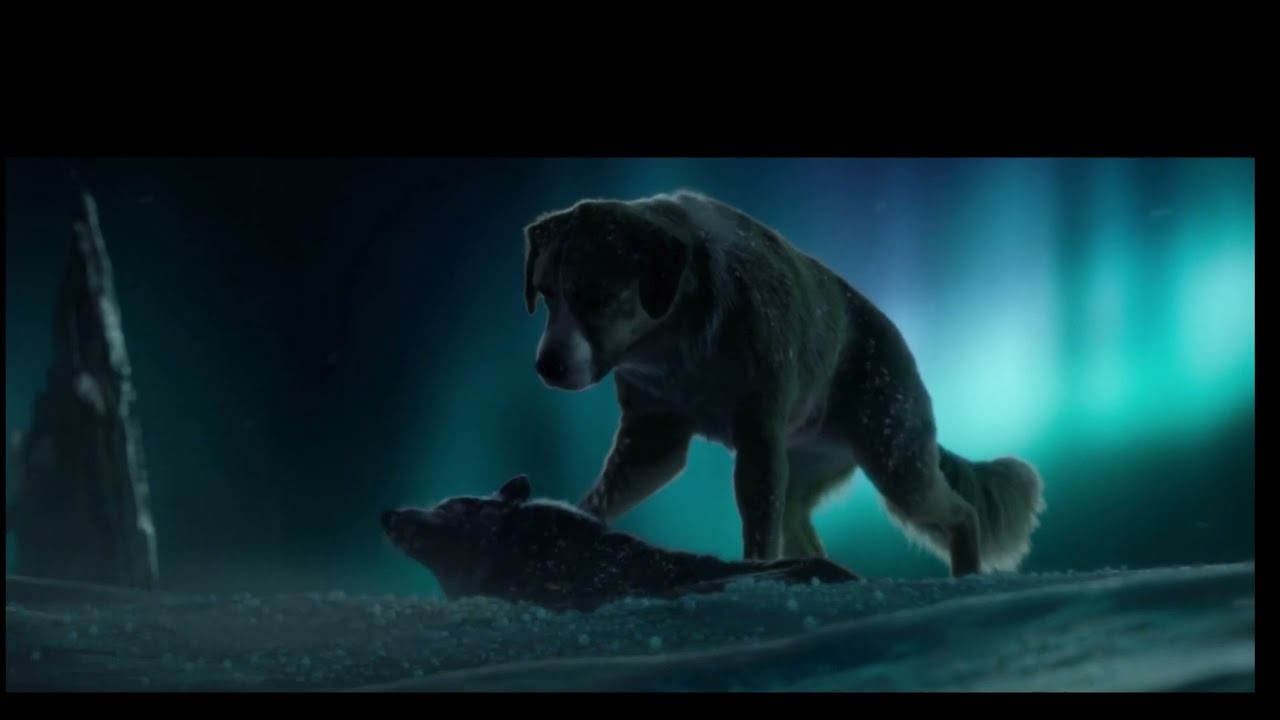 La Tr gica Desaparici n Del Spitz En Call Of The Wild la-tr-gica-desaparici-n-del-spitz-en-call-of-the-wild