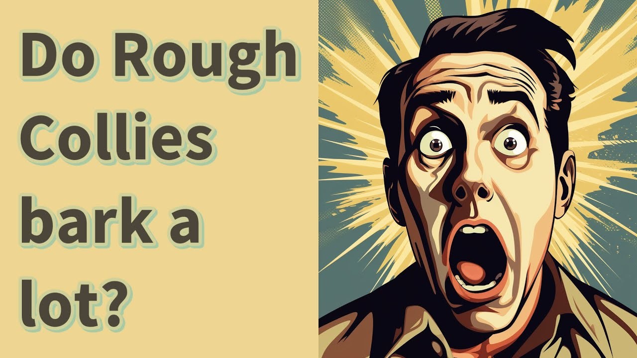 Are Rough Collies Known for Barking Excessively?