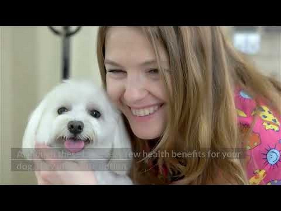 Can Dogs Eat Animal Crackers? Find Out if They are Safe for Your Furry