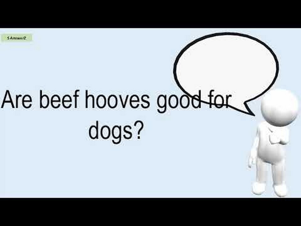 Should puppies be given beef hooves as a treat?