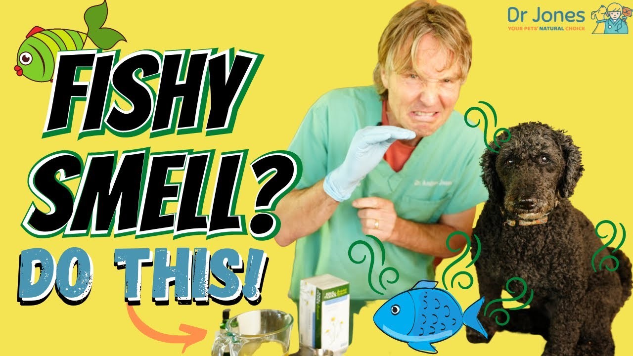 Understanding the Fishy Odor in Female Dogs Causes and Solutions