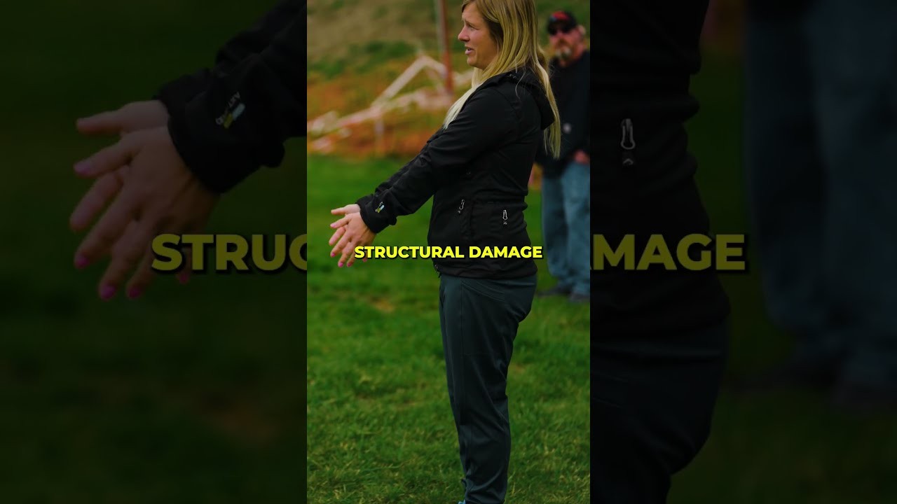 Are harnesses harmful for dogs?