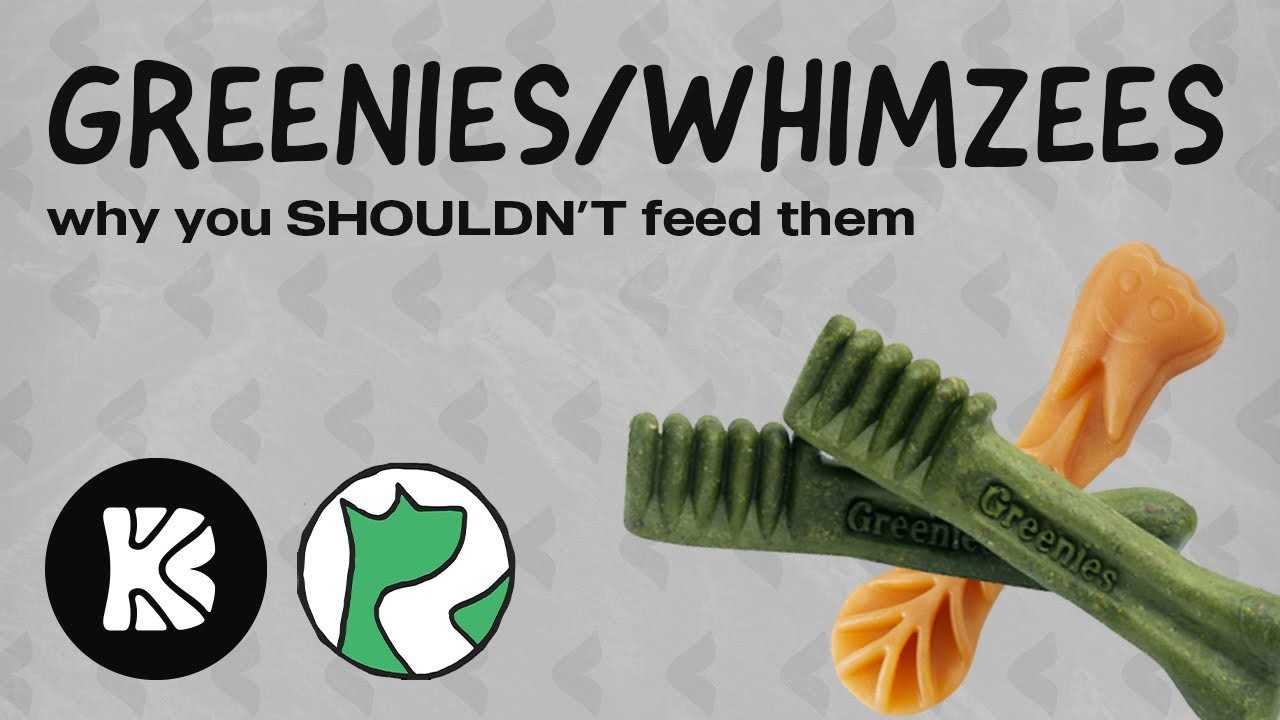 Are Greenies Safe for Puppies? Everything You Need to Know