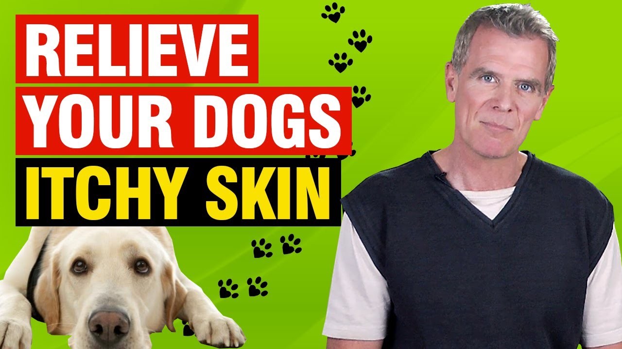 Is it safe to spray apple cider vinegar on dogs?