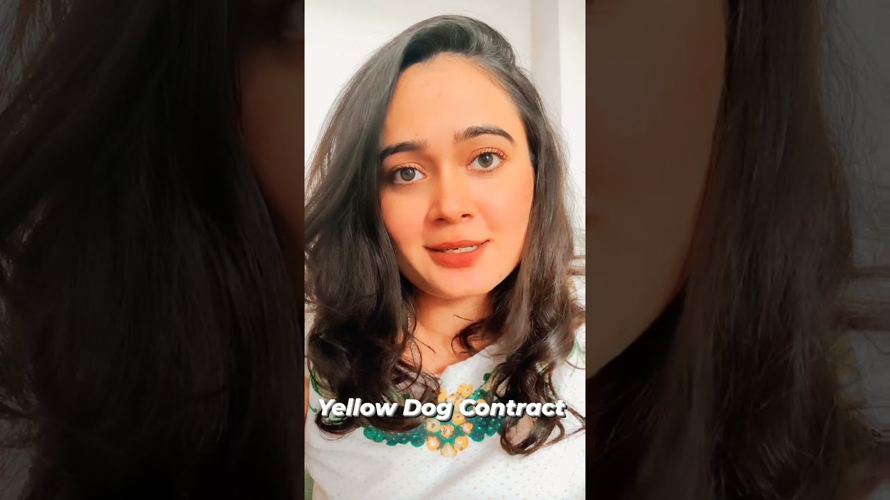 Comprender los contratos Yellow Dog Una perspectiva histórica