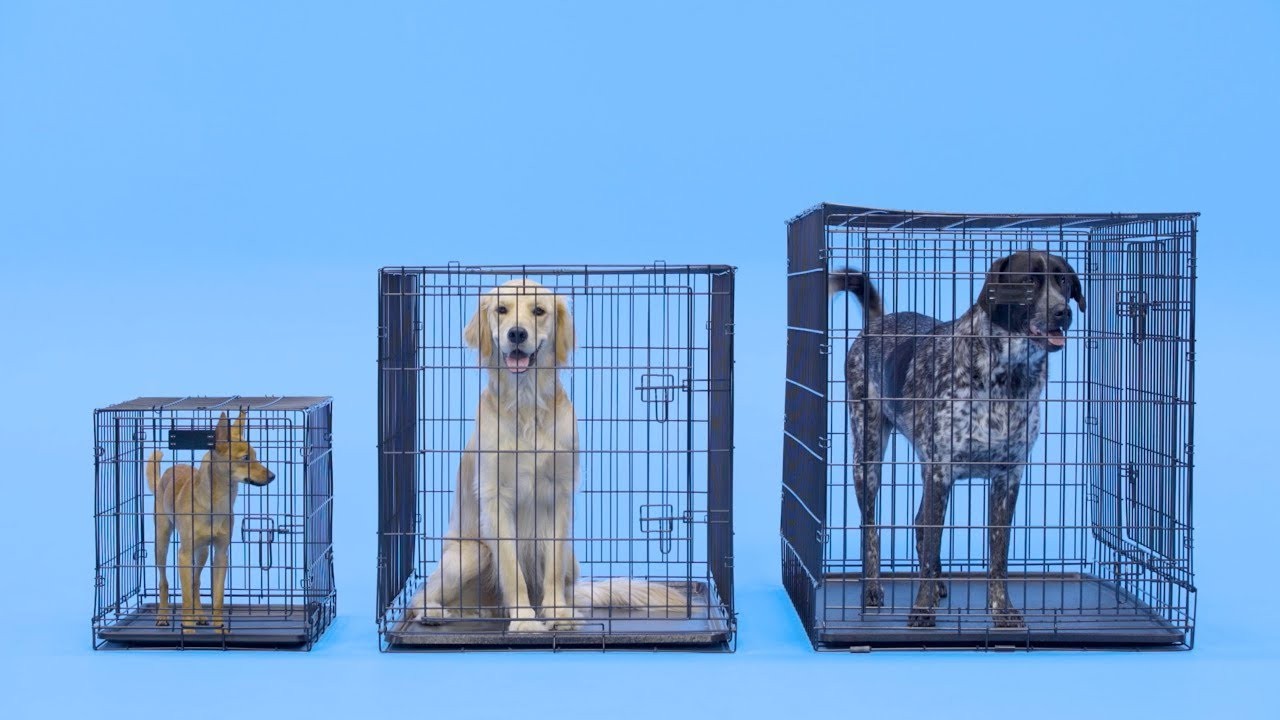 What Size Is A Medium Dog Crate 