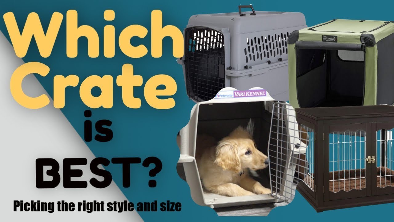 Choosing the Right Crate for Your Dog A Comprehensive Guide
