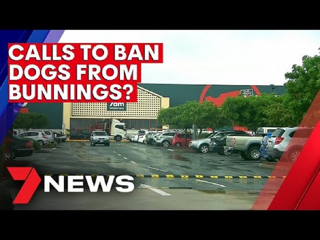 Les chiens sontils autorisés chez Bunnings Australia ? Directives et politiques