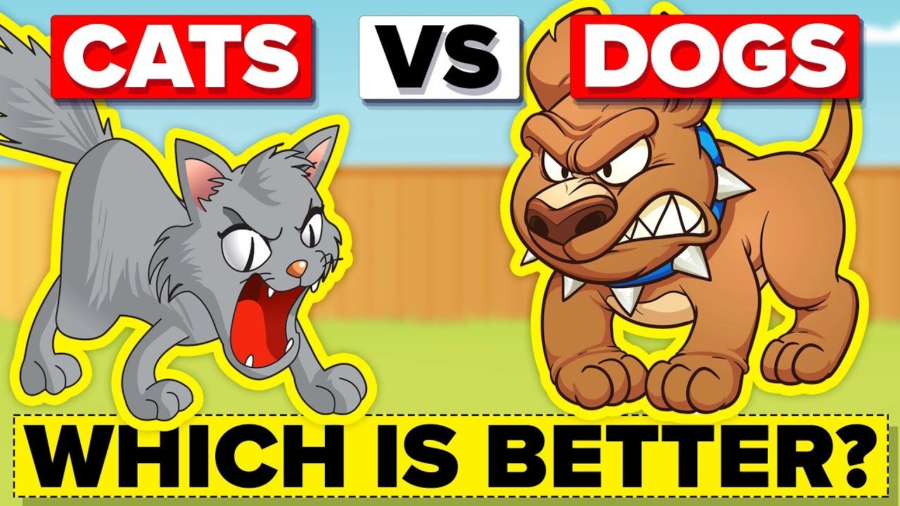 Dog vs. Dog vs. Cat. Cats or Dogs. Are Cats better than Dogs. Cat vs Dogs exercise.