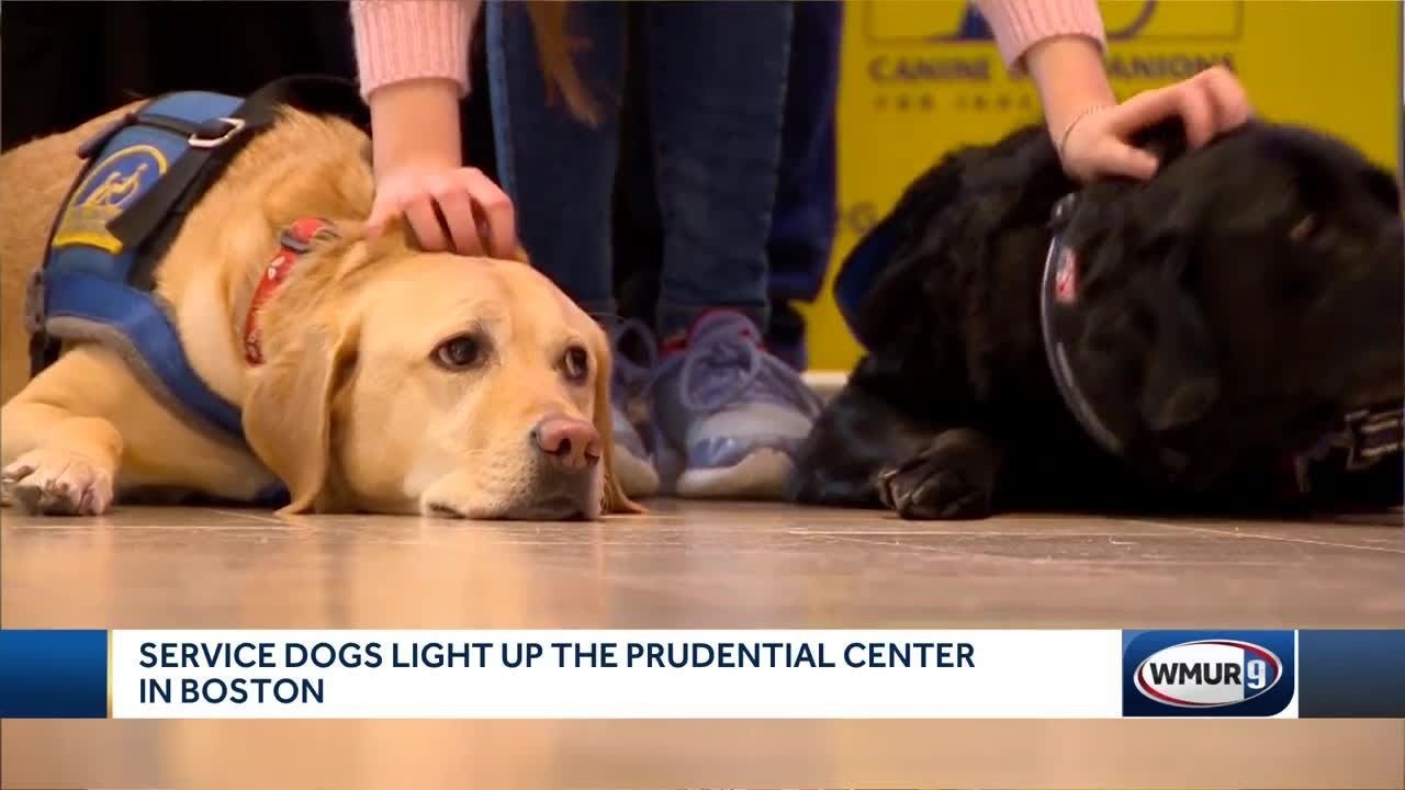 Peuton amener son chien au Prudential Center