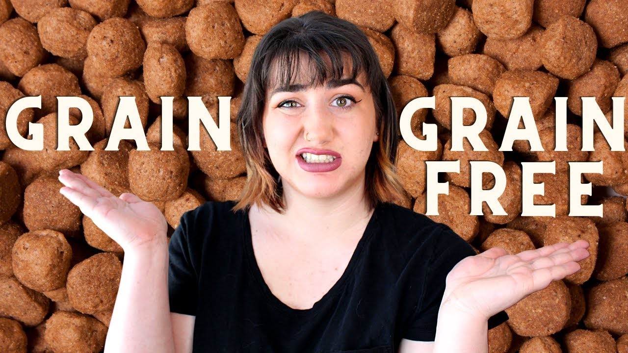 Importance of Grains in a Dog's Diet