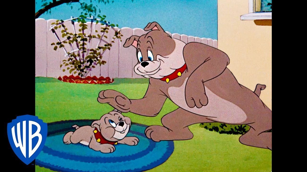 What Breed of Dog is Spike from Tom and Jerry?