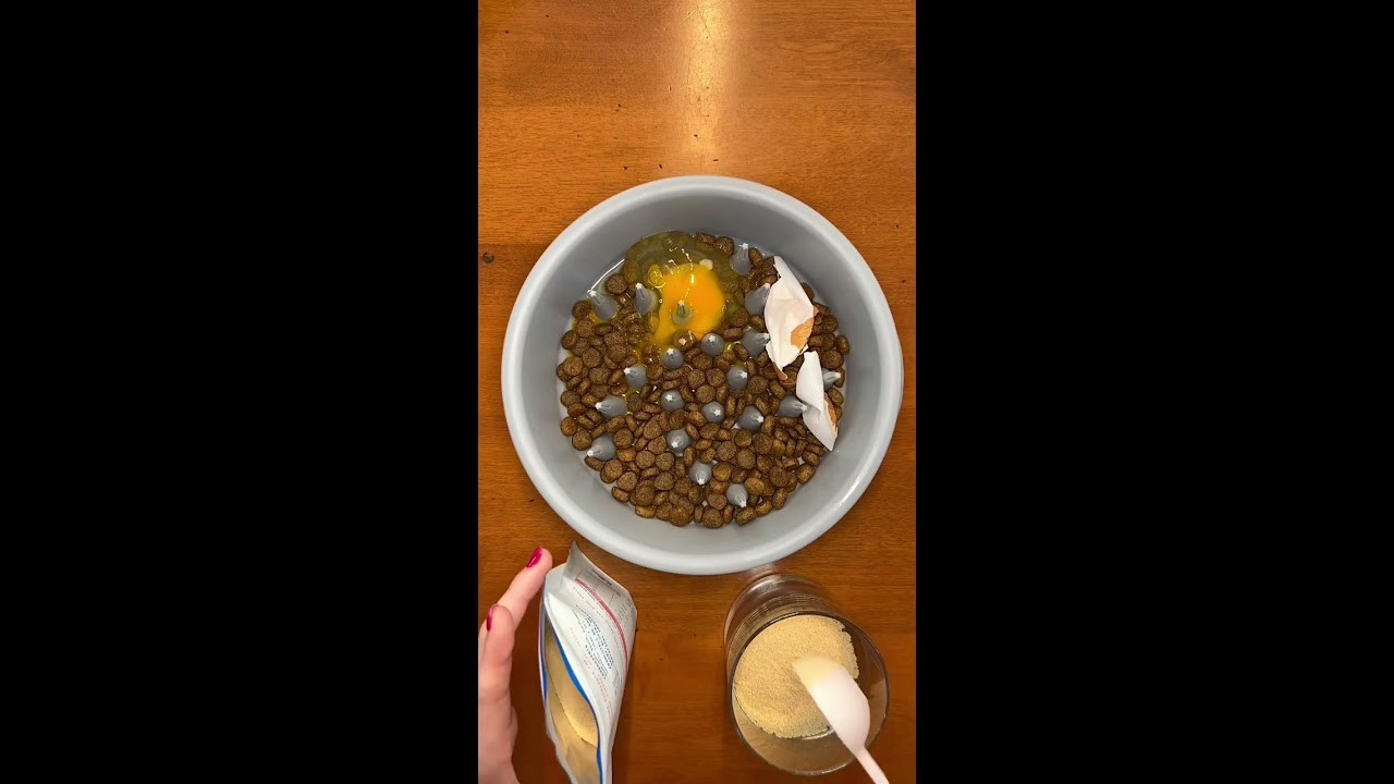 Can dogs safely eat cooked egg whites?