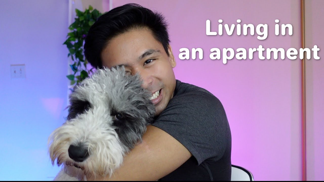 6 Effective Ways to Stop Your Dog from Barking in an Apartment