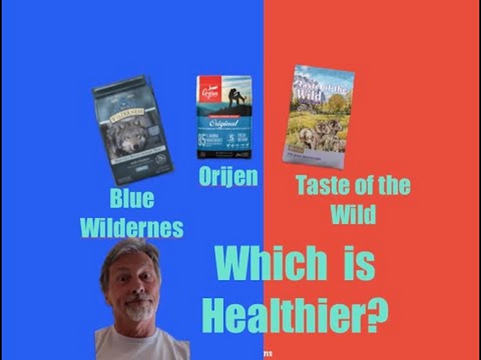 pros-and-cons-is-blue-wilderness-a-good-dog-food-brand